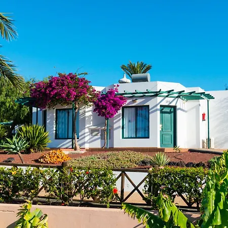 酒店 普拉亚布兰卡俱乐部酒店 4*